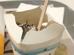 姜撞脆椰椰麦旋风-麦当劳(红旗路店)