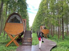 -黄海国家森林公园