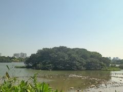 -海珠湖公园