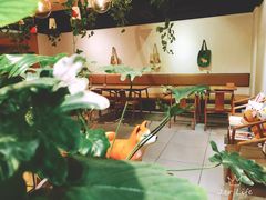 大堂-柴务处·柴犬主题狗咖