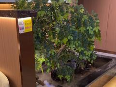 -南山翁新概念川菜(江宁万达广场店)