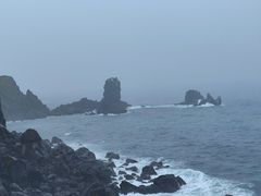 -涉地可支