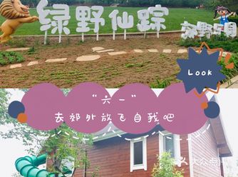 欢乐六一｜去“绿野”寻找我们的“仙踪”