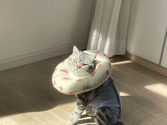 -北京恒爱动物医院(清景园分院)