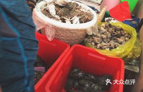 Live River Crab