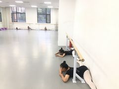 -西安小天鹅艺术团(金花路校区)