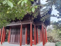 -水绘园