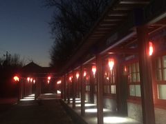 -中卫御苑福膳·养生局(圆明园店)