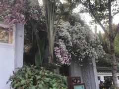 -深圳国际园林花卉博览园