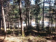 景点-五营红松林海景区