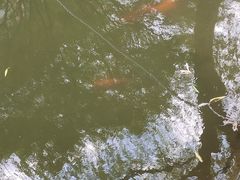 -浙江西湖美术馆