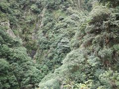 -宁波五龙潭景区