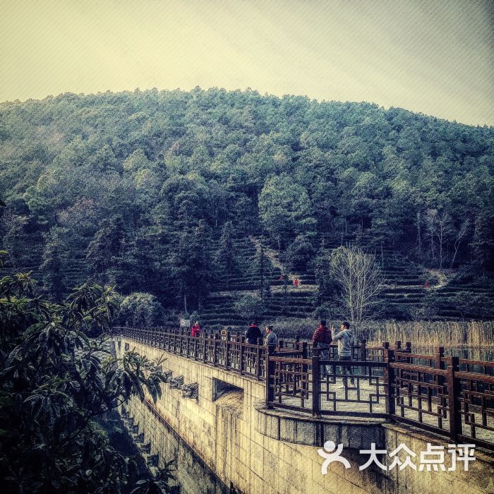 九龙潭风景区-图片-苏州周边游-大众点评网