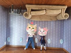 -金山农民画村-枫泾波兰倒置屋