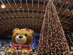 -苏州金鸡湖中茵皇冠假日酒店