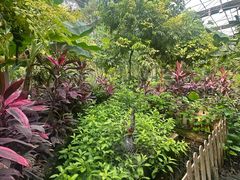-呀路古热带植物园