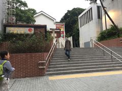 -九龙公园