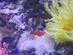 -左海海底世界