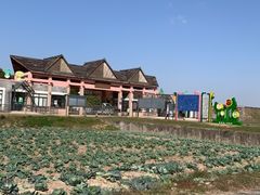 -上海都市菜园