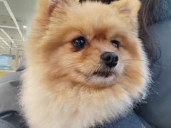 -怪兽屋·羊驼·猫咖·狗咖(俊华广场店)