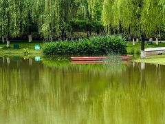 -沐仙湖湿地公园