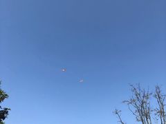 -春花秋色城市公园