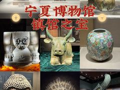 -宁夏博物馆