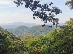 -黄埔油麻山森林公园