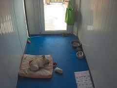 -宠物寄养训练学校