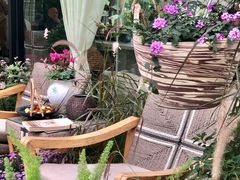 -大隐花事(熊婆婆的花园店)