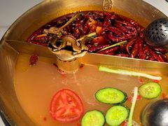-小龙翻大江文化火锅(宽窄店)