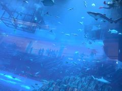 -迪拜水族馆及水下动物园