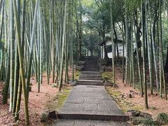 -杭州黄龙洞