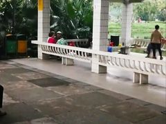 -晓港公园