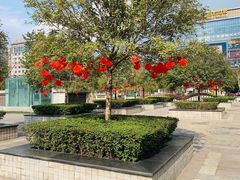 -百伦百货(简阳店)