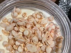 老香港鲜奶冻-啫响粤煲料理(万好大厦店)