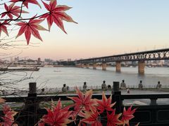 -汉水谣·江景餐厅(江滩店)