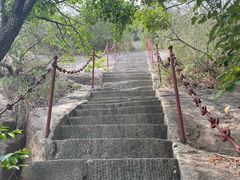 -鲁山国家森林公园