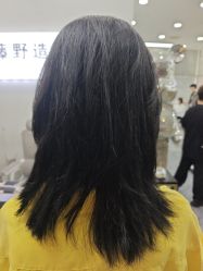 -藤野造型