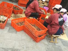 -巴厘龙虾·榜首油焖大虾(音乐学院·沿江酒馆店)