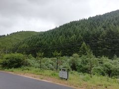 -苏木山森林公园