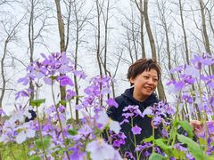 -老苏州芳和园茶酒楼  传统苏帮菜(观前店)