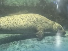 -常州海昌海洋探索馆