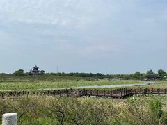 -上海海湾国家森林公园