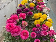 -郑州中国绿化博览园