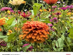 -贵阳市花溪国家城市湿地公园