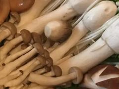 -辉哥火锅(虹桥路店)