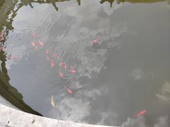 -祥源·阜阳生态乐园