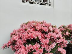 -龙华寺