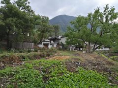 -塔川景区